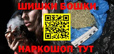 МДПВ Пушкино