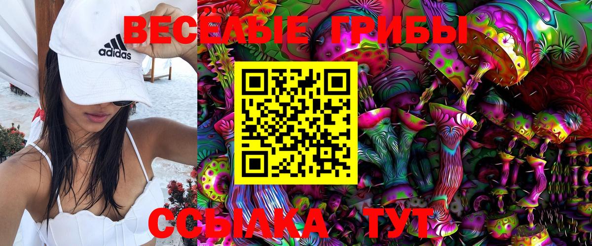 Галлюциногенные грибы Magic Shrooms Сердобск
