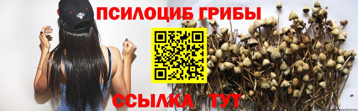Сердобск  Псилоцибиновые грибы Magic Shrooms  Галлюциногенные грибы MAGIC MUSHROOMS  Вход с VPN 